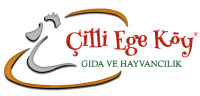 cilliegelogo